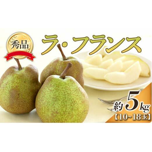 yߘa7NYs\z EtX  5kg (10`18 G)  sߘa7N10{`11{t wt[hVXeYx tX m mȂ ʕ t[c fU[g R` zs [849-R7]