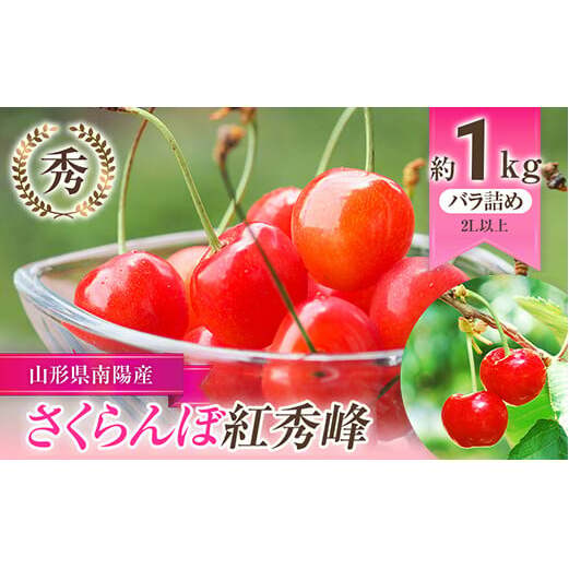 yߘa8NYs\z  ugGv 1kg (G 2Lȏ) ol sߘa8N6{`t wY҂܂x TN{ ʕ t[c Yn R` zs [985]R`zs