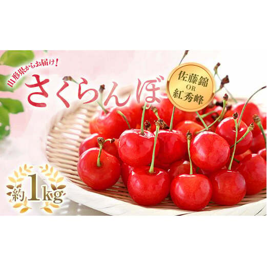yߘa7NYs\z  uт܂͍gGv 1kg (G Lȏ) ol sߘa7N6{`t wzʎsx TN{ ʕ t[c R` zs [1204]R`