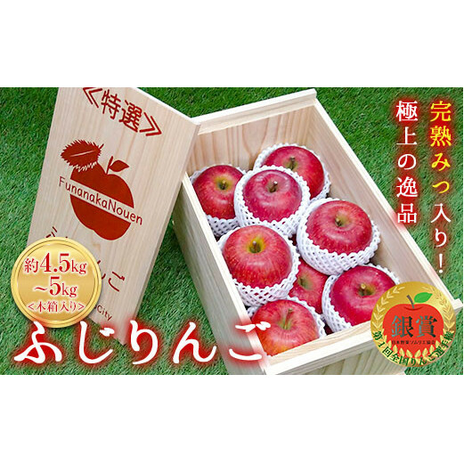【令和7年産先行予約】 《特選》プレミアム 完熟みつ入りふじりんご 約4.5〜5kg (約15玉 サイズおまかせ) 木箱入り 《令和7年12月中旬〜発送》 【全国りんご選手権 銀賞】 『船中農園』 山形