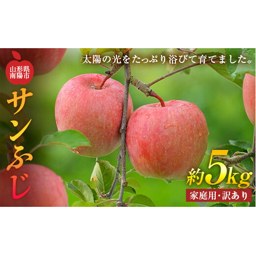 yߘa7NYs\z q󂠂i ƒpr  uTӂv 5kg (13`20ʑO) sߘa7N11{`t w_x Yn Y_ƒ R` zs [1690]R`zs11000