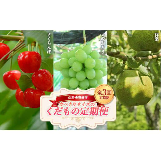yߘa7NYs\z s3t HׂTCY ̒ wzʎsx t[c R` zs [1745]R`zs37000ʕEt[c}XJbgEԂǂ