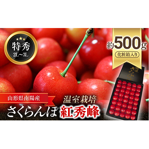 【令和7年産先行予約】【数量限定】温室さくらんぼ 「紅秀峰」 約500g (特秀 2〜3L) 化粧箱入り 《令和7年5月下旬〜発送》 『松田観光果樹園』 数量限定 サクランボ 果物 フルーツ 産地直送