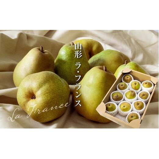 yߘa7NYs\z EtX 3kg (8`12 G L`2L) sߘa7N11{`t wYamagata܂Ȓx  ʕ t[c R` zs [1743]R`zs14000ʕEt[c