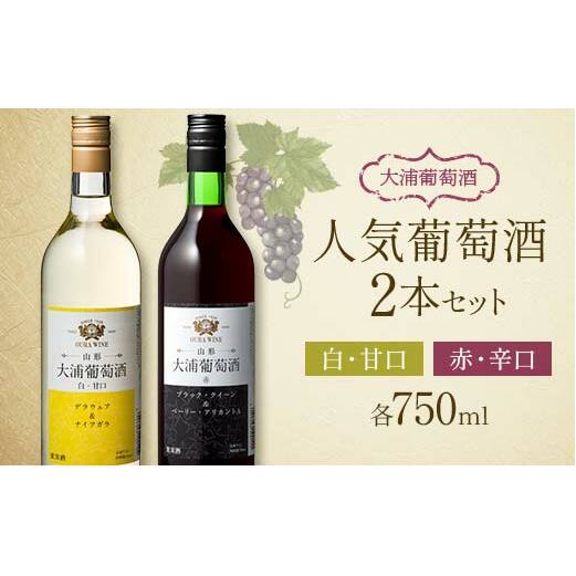 Y lC 750ml×2{Zbg w(L)Yx ԃC C Ì h  R` zs [1893]R`zs15000EAR[C