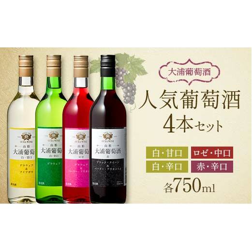 Y lC 750ml×4{Zbg w(L)Yx ԃC C [ Ì h   R` zs [1894]R`zs24000EAR[