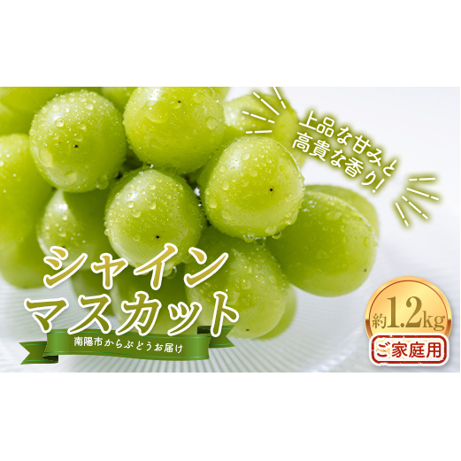 yߘa7NYs\zqƒpr VC}XJbg 1.2kg (2`3[) sߘa7N10{`t w_x R` zs [1914]R`zs13000ʕEt[c}XJbgEԂǂ
