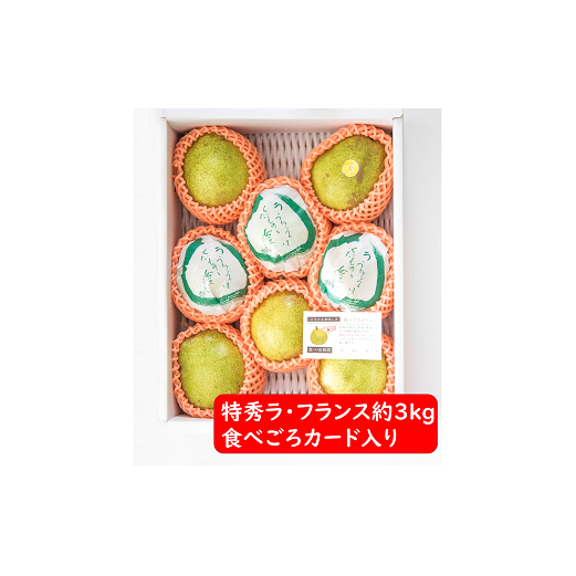 yߘa7NYs\z EtX 3kg (8`11 G 2`5L) sߘa7N11`t wЂ_x tX m mȂ ʕ R` zs [1087-1]R`zs13000ʕEt[c