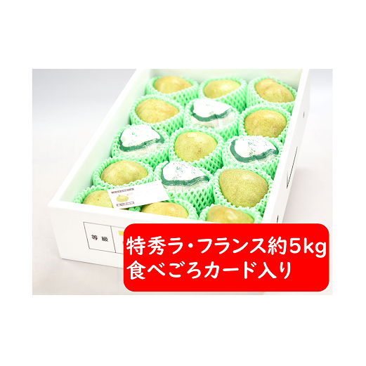 yߘa7NYs\z EtX 5kg (15`18 G 2`4L) sߘa7N11`t wЂ_x tX m mȂ ʕ R` zs [1088-1]R`zs18000ʕEt[