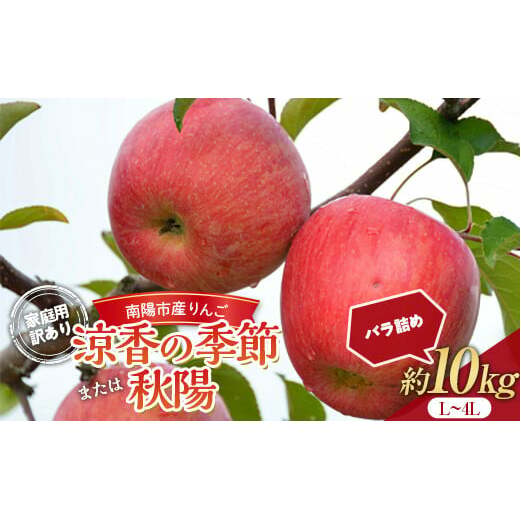 yߘa7NYs\z q󂠂i ƒpr  űG߂܂͏Hzv 10kg (28`40) ol sߘa7N9{`t w}^j_x S R` zs [1917]R`z