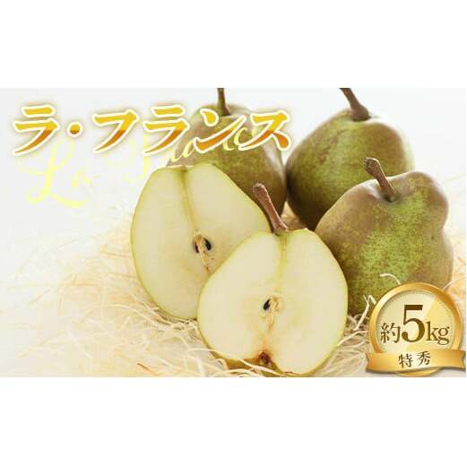 yߘa7NYs\z EtX 5kg (14`16 G 3`4L) sߘa7N11{`t wNOWAt[cx tX m R`zY R` zs [2065-R7]R`zs19000ʕEt