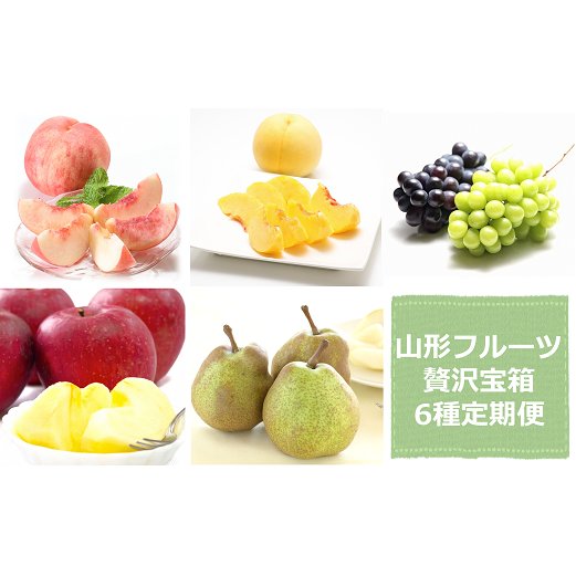 yߘa7NYs\z s3t R`t[cґ6 wt[hVXeYx R` zs [2262-R7]R`zs46000ʕEt[cE