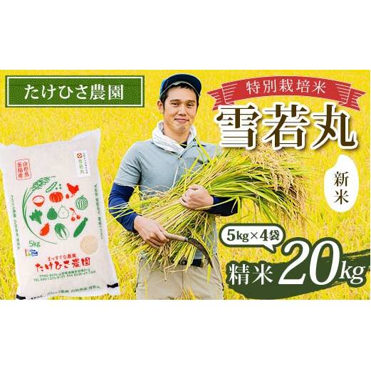 yߘa7NY V s\z ʍ͔|  () 20kg (5kg×4) sߘa7N9{`t wЂ_x R`zY    R` zs [2366-R7]R`zs49000āEp