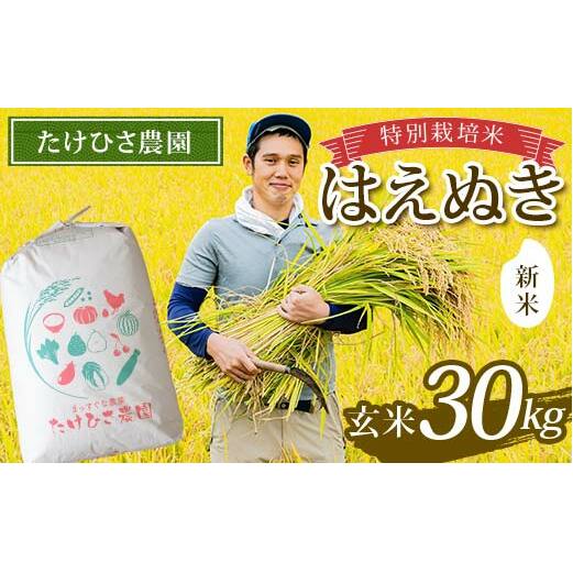 yߘa7NY V s\z ʍ͔| ͂ʂ () 30kg sߘa7N9{`t wЂ_x R`zY   _ƒ R` zs [2375-AR7]R`zs60000āEp