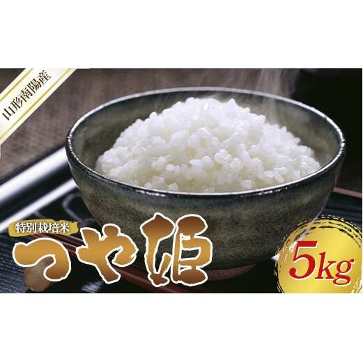 yߘa7NY V s\z ʍ͔| P () 5kg sߘa7N10{`t wti}_x R`zY    _ƒ R` zs [2394-R7]R`zs13000āEp