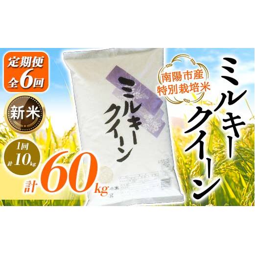 yߘa7NY V s\zy܎ܔ_Ɓzs6tʍ͔| ~L[NC[ v10kg(5kg×2)×6 sߘa7N10{`t wCXt@[x [2416-R7]R`zs222