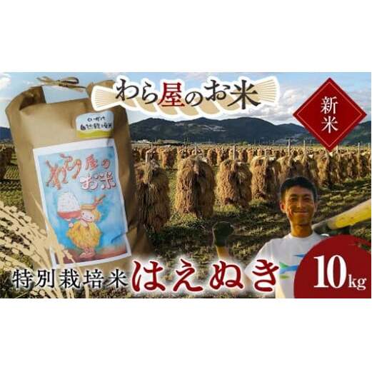 yߘa7NY V s\z y牮̂āz ʍ͔| ͂ʂ 10kg sߘa7N10{`t wm_x     _ƒ R` zs [2068-R7]R`zs28000