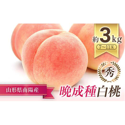 【令和8年産先行予約】 晩成のもも「あぶくま・だて白桃・西王母 等」約3kg (7〜11玉) 《令和8年8月下旬〜発送》 『生産者 佐藤 勇二』 桃 モモ 果物 フルーツ 産地直送 生産農家直送 山形県