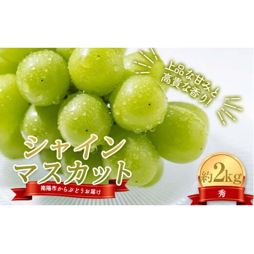 yߘa8NYs\z VC}XJbg 2kg (3`4[ G) sߘa8N10{`t w_x R` zs [1913-R8]R`zs19000ʕEt[c}XJbgEԂǂ