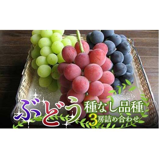 yߘa8NYs\z Ԃǂ Ȃi 3[l sߘa8N9{`t wRʎx  Ԃǂ uhE Ȃ VN ʕ t[c fU[g R` zs [1520-R8]R`