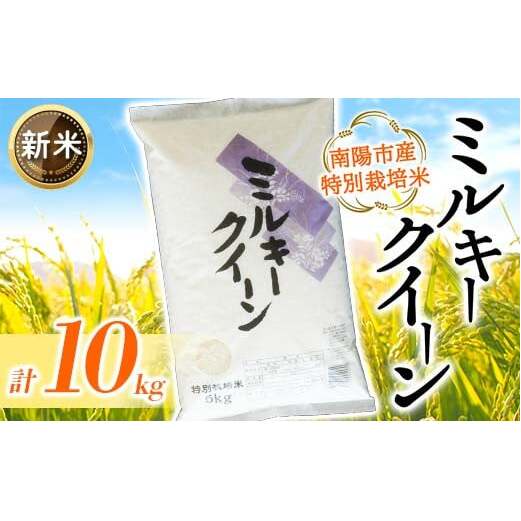 yߘa7NY V s\z y܎ܔ_Ɓz ʍ͔| ~L[NC[ v10kg (5kg×2) sߘa7N11{`t wCXt@[x [2409-AR7] R`zs39000āEp