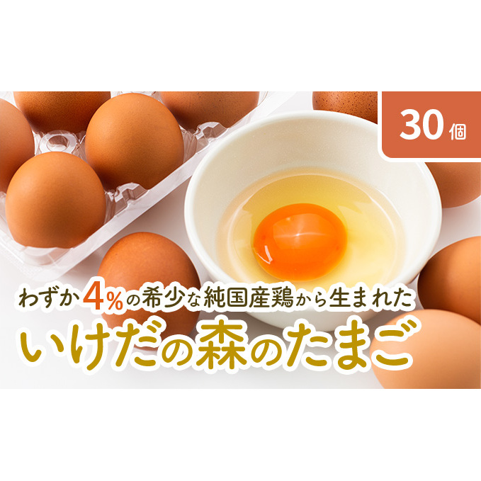 卵 わずか4%の希少な純国産鶏 いけだの森たまご 30個 こだわり おこめのたまご 玉子 鶏卵 生卵 産地直送 冷蔵配送 TKG 卵かけご飯 岐阜県産 岐阜県池田町11000卵・乳製品卵(鶏、烏骨鶏等)