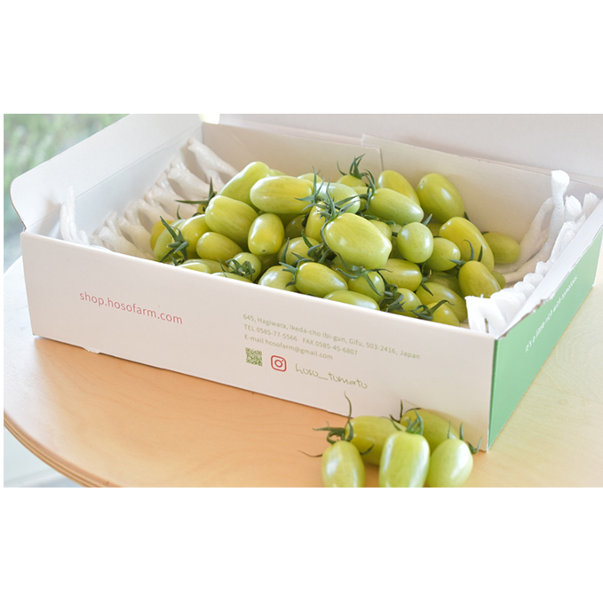 食卓を彩るトマト。緑なのに食べれるの!?グリーンスピカ(1.5kg) 野菜 ミニトマト とまと 岐阜県池田町15000野菜・きのこトマト