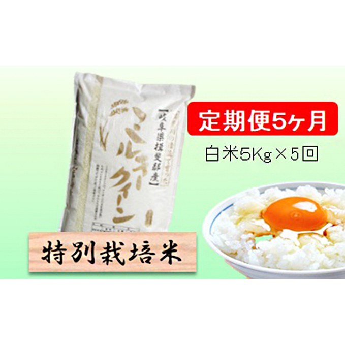 ʍ͔|ā[] 5J ĂTkg y~L[NC[z  ߘa5NY A~[X `` ٓ ɂ S S   򕌌rc54000āEp