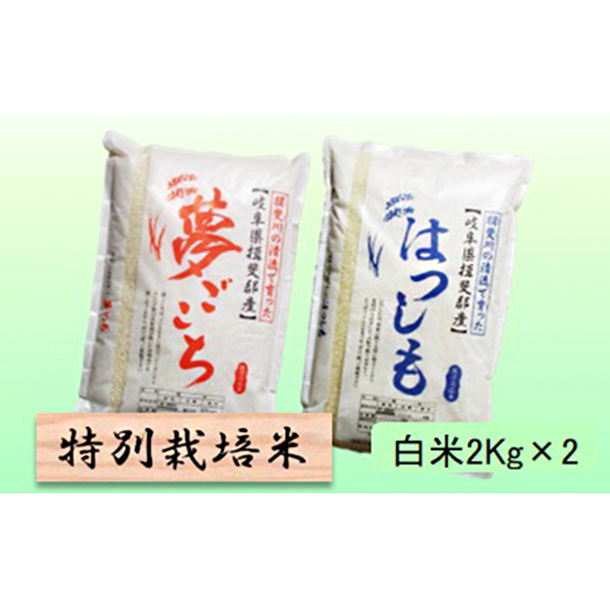 特別栽培米★白米4kg 【夢ごこち・ハツシモ】 お米 ブランド米 銘柄米 精米 ご飯 おにぎり モッチリ 冷めても美味しい 大粒 アッサリ 岐阜県池田町9000米・パン白米
