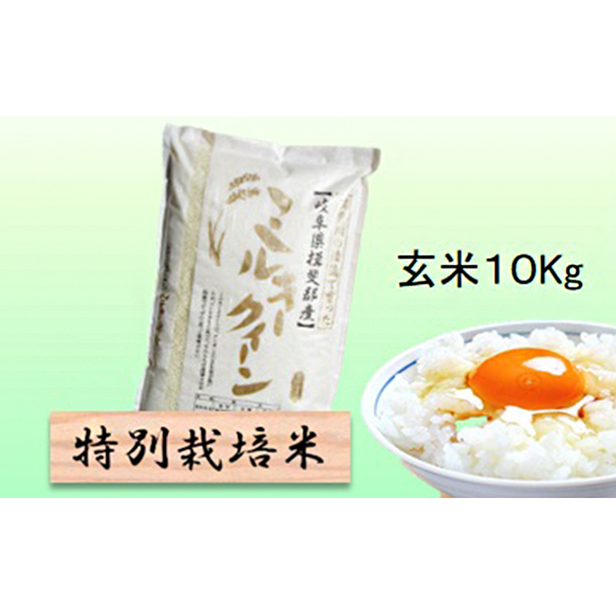 特別栽培米★玄米10kg 【ミルキークイーン】 お米 ブランド米 銘柄米 ご飯 おにぎり モチモチ 低アミロース米 冷めても美味しい 岐阜県池田町17000米・パン白米