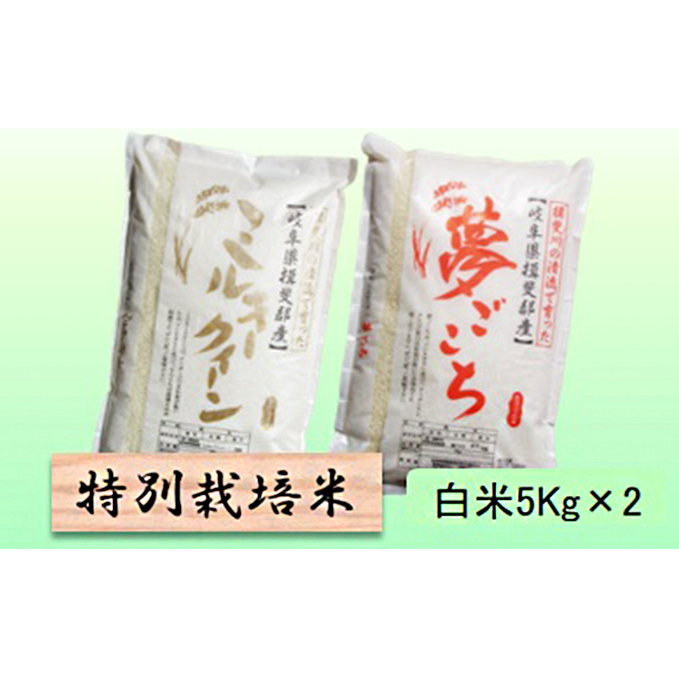 特別栽培米★白米10kg 【ミルキークイーン・夢ごこち】各5Kg お米 ブランド米 銘柄米 ご飯 おにぎり モチモチ 冷めても美味しい 低アミロース米 岐阜県池田町19000米・パン白米
