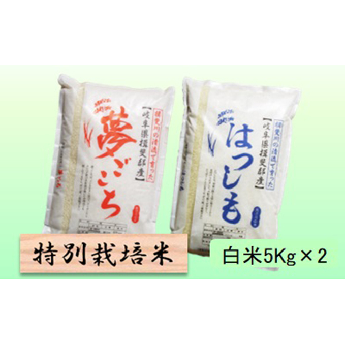 特別栽培米★白米10kg 【夢ごこち・ハツシモ】各5Kg お米 ブランド米 銘柄米 ご飯 モッチリ 冷めても美味しい 大粒 アッサリ 岐阜県池田町18000米・パン白米