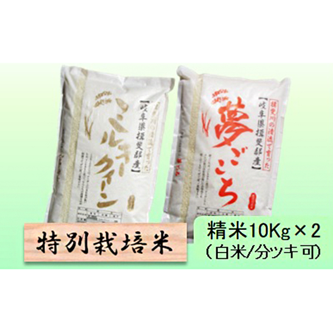 特別栽培米★精米20kg(白米/5分/7分ツキ可)【ミルキークイーン・夢ごこち】 玄米は別に出品 お米 ブランド米 銘柄米 ご飯 モチモチ 冷めても美味しい 低アミロース米 岐阜県池田町36000米