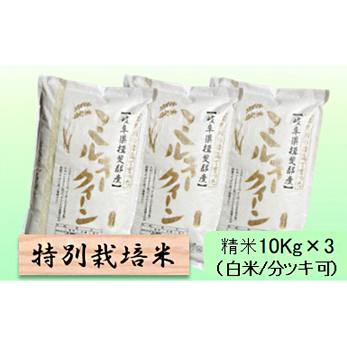 特別栽培米★精米30kg(白米/5分/7分ツキ可)【ミルキークイーン】 玄米は別に出品 お米 ブランド米 銘柄米 ご飯 モチモチ 低アミロース米 岐阜県池田町51000米・パン白米