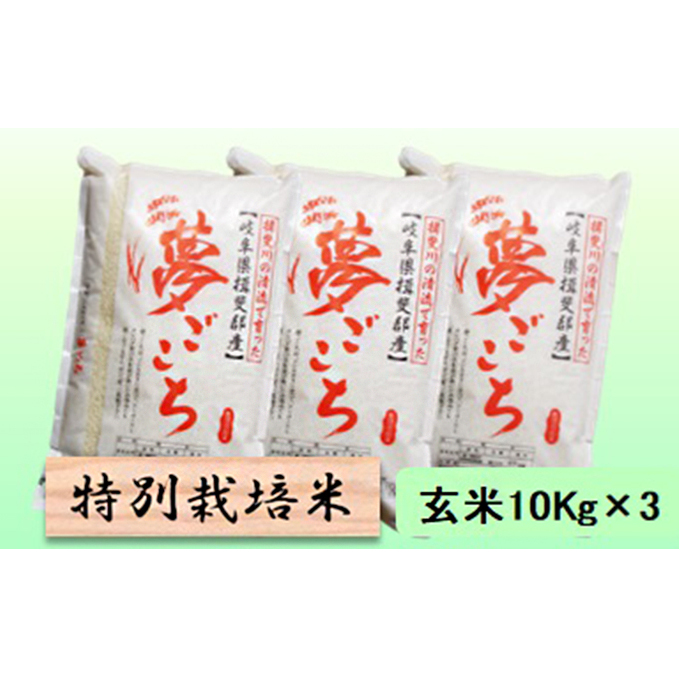 特別栽培米★玄米30kg【夢ごこち】10Kg×3 お米 ブランド米 銘柄米 ご飯 モッチリ 甘い 低アミロース米 冷めても美味しい 岐阜県池田町47000米・パン白米