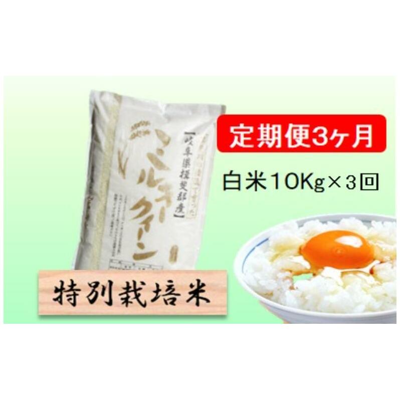 ʍ͔|ā[] 3J 10kgy~L[NC[z    ~L[ NC[  򕌌 rc򕌌rc57000āEp