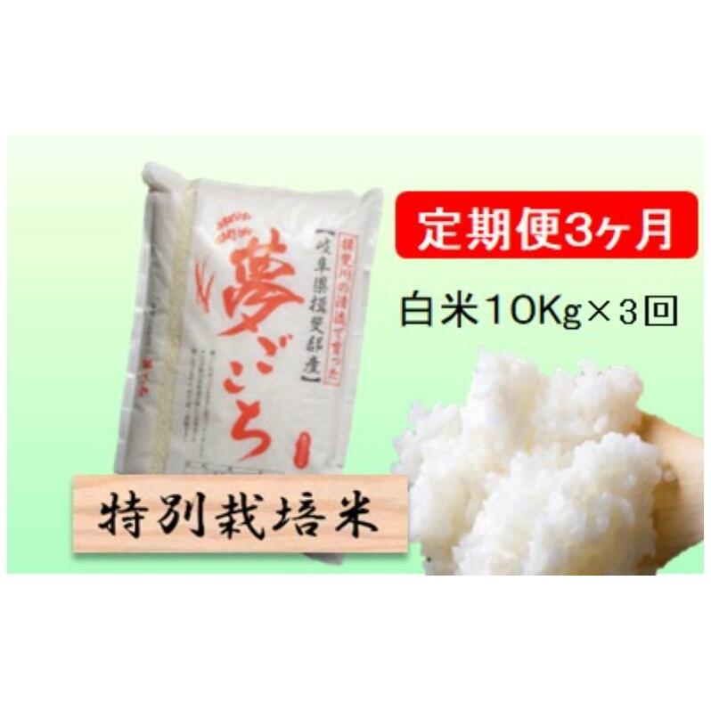 ʍ͔|ā[] 3J 10kgyz    R   򕌌 rc򕌌rc57000āEp