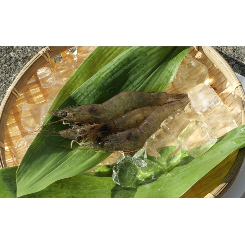 岐阜県池田町産 金華海老 250g×4パック 計1kg 海老 エビ えび 【配送不可:離島】岐阜県池田町20000魚介・海産物エビ