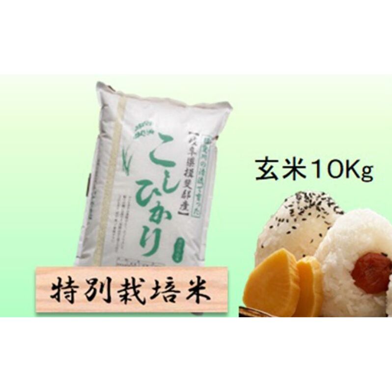 【令和7年産】特別栽培米 10kg【玄米】(コシヒカリ)岐阜県池田町26000米・パン白米