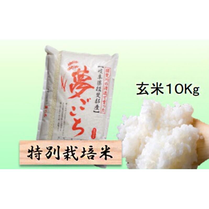 【令和7年産】特別栽培米 10kg【玄米】(夢ごこち)岐阜県池田町28000米・パン白米