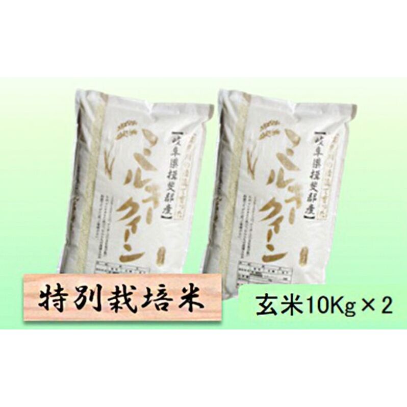 【令和7年産】特別栽培米 20kg【玄米】(ミルキークイーン)岐阜県池田町53000米・パン白米