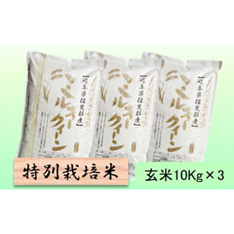 【令和7年産】特別栽培米 30kg【玄米】(ミルキークイーン)岐阜県池田町78000米・パン白米
