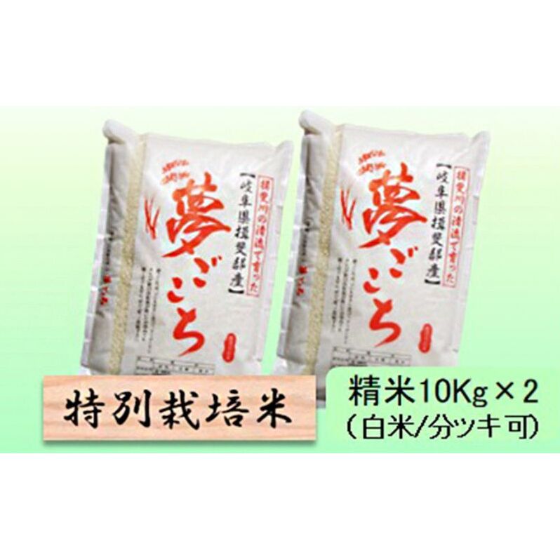 【令和7年産】特別栽培米 20kg【白米、7分ツキ】(夢ごこち)岐阜県池田町56000米・パン白米