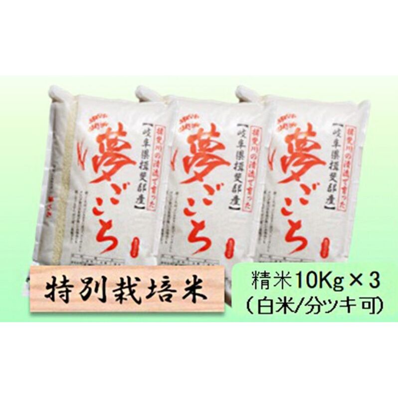 【令和7年産】特別栽培米 30kg【白米、7分ツキ】(夢ごこち)岐阜県池田町83000米・パン白米
