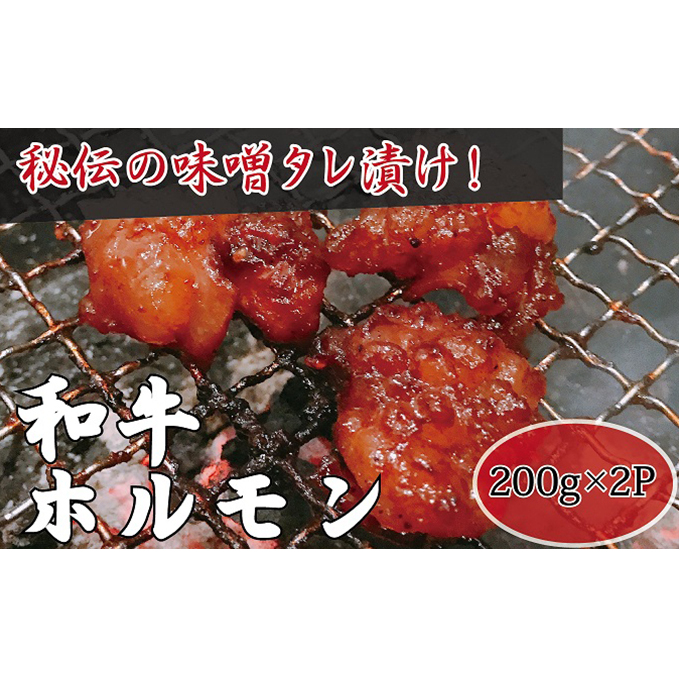 【高木精肉店手作り】秘伝の味噌タレ漬け和牛ホルモン200g×2P岐阜県関ケ原町9000肉牛肉