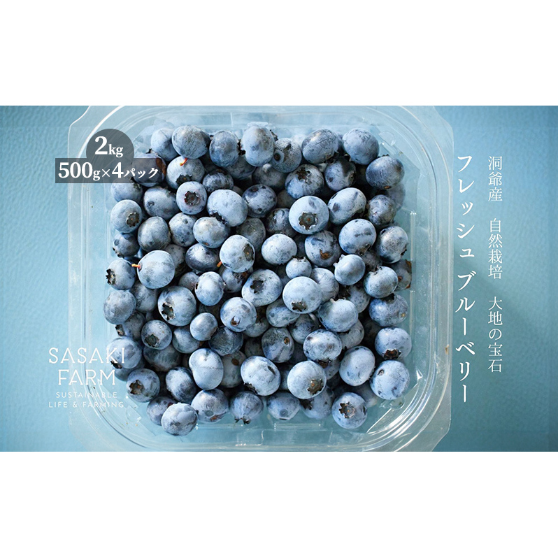 kC ΒY tbV u[x[ 500g 4pbN v2kg 725珇͂ ͂ kCY u[x[ ʕ ʎ t[c VN Y x[ _앨  Ⓚ  ۑ