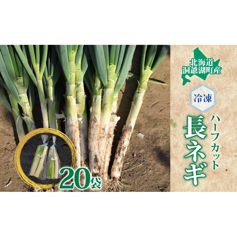 役に立ちます 冷凍カット野菜 長ねぎ1/2分×20袋 長ネギ 料理 小分け 便利 野菜 北海道洞爺湖町12000野菜・きのこ玉ねぎ・ねぎ