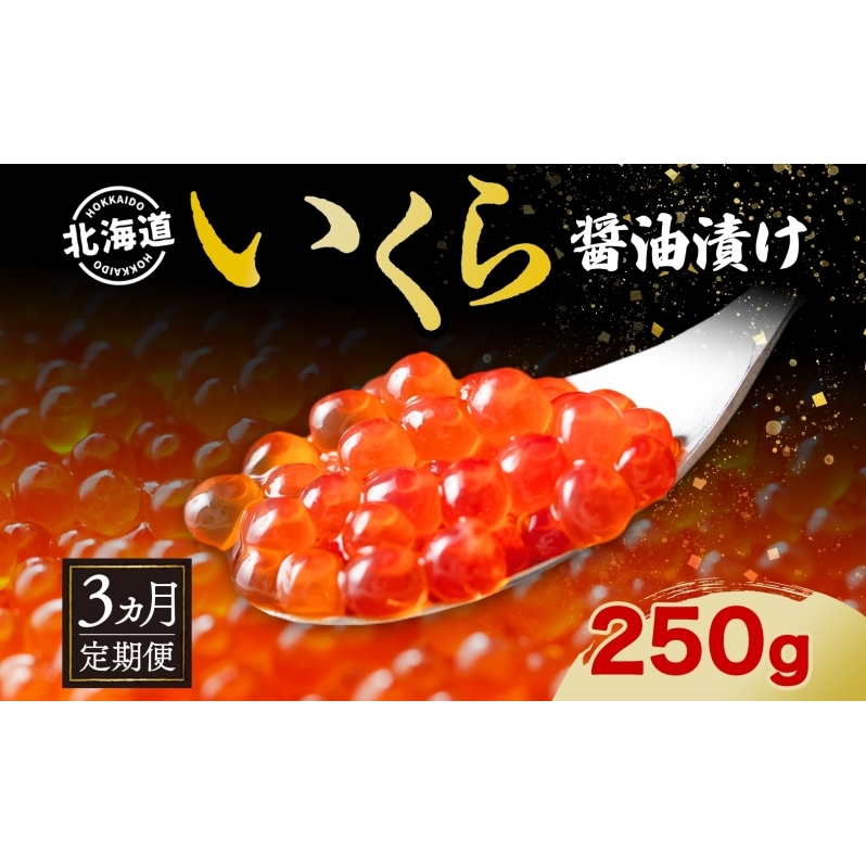定期便 3ヵ月連続 全3回 北海道産 いくら醤油漬け 250g 北海道 イクラ醤油漬け 小分け いくら 国産 イクラ 海鮮 魚介 魚卵 海産物 醤油漬け 鮭いくら 寿司 刺身 贅沢 お取り寄せ グルメ ギフト