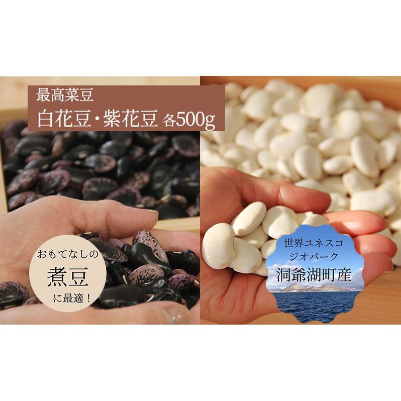 北海道 洞爺湖町産 高級菜豆 2種 白花豆 500g 紫花豆 500g 計1kg 12月中旬よりお届け 花豆 豆 マメ まめ 大粒 甘い 北海道産 国産 煮豆 スープ 煮込み料理 常温 お取り寄せ  【 洞爺湖町 】北海道