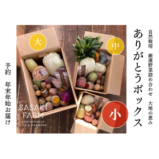 旬の野菜詰め合わせ 〜ありがとうBOX2025・小〜 12月1日〜1月31日頃お届け 北海道 野菜 やさい 詰め合わせ セット 北海道産 常備菜 加工品 自然栽培 佐々木ファーム 産地直送 洞爺湖町北海道洞